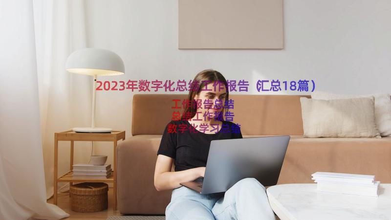 2023年数字化总结工作报告（汇总18篇）