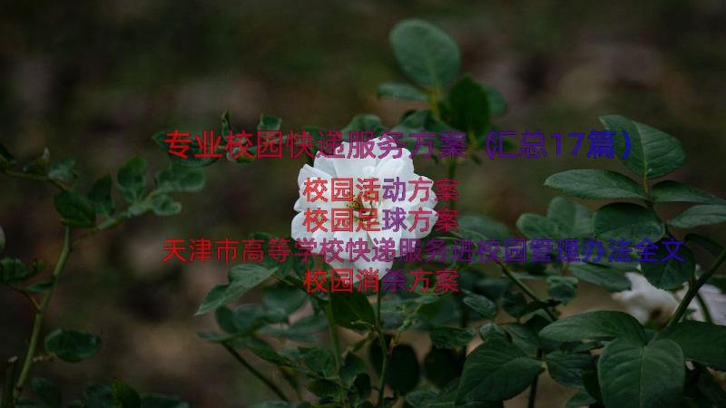 专业校园快递服务方案（汇总17篇）