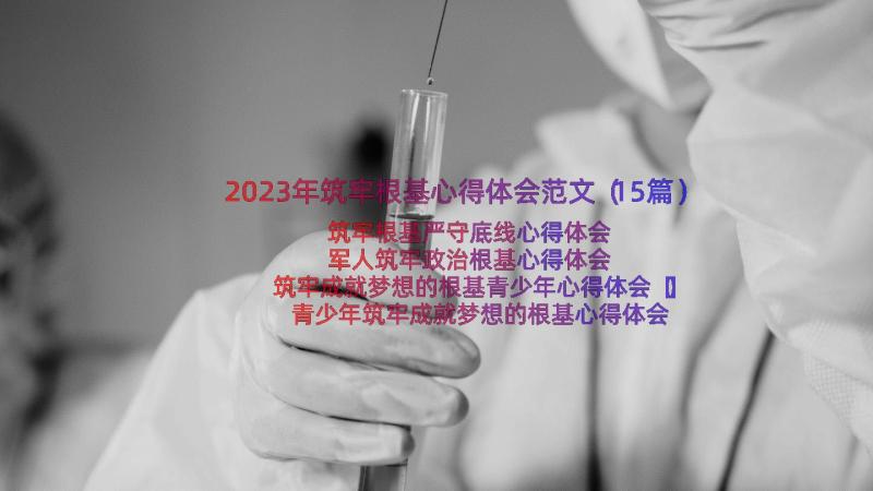 2023年筑牢根基心得体会范文（15篇）