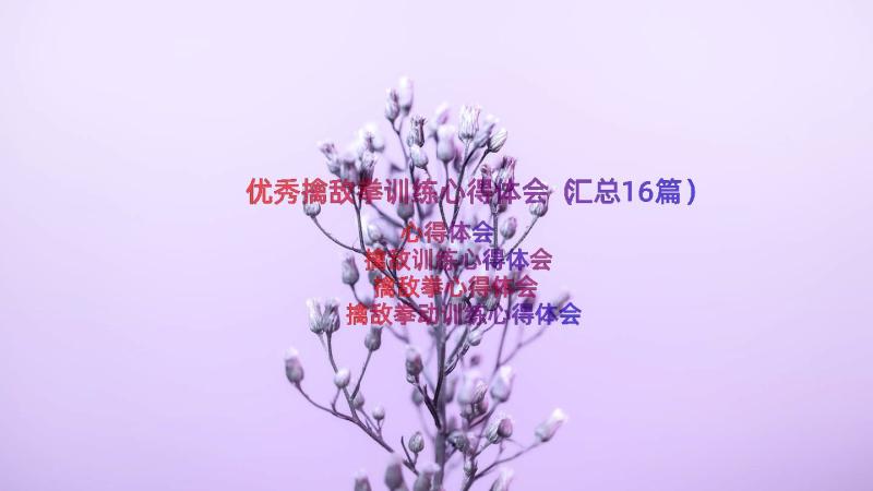 优秀擒敌拳训练心得体会（汇总16篇）