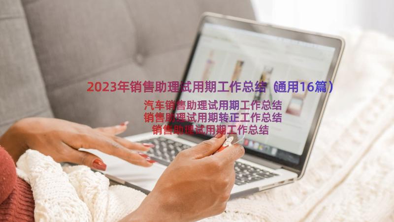 2023年销售助理试用期工作总结（通用16篇）