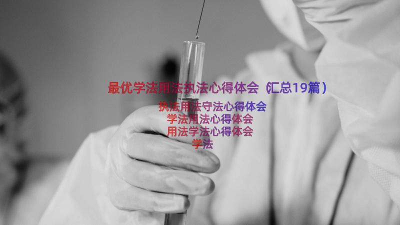 最优学法用法执法心得体会（汇总19篇）