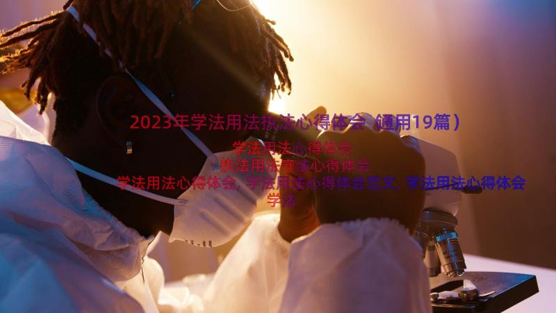 2023年学法用法执法心得体会（通用19篇）