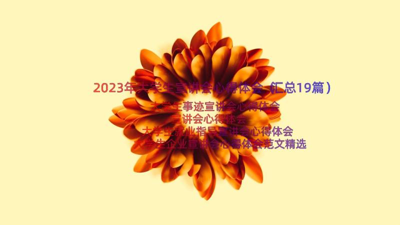 2023年大学生宣讲会心得体会（汇总19篇）