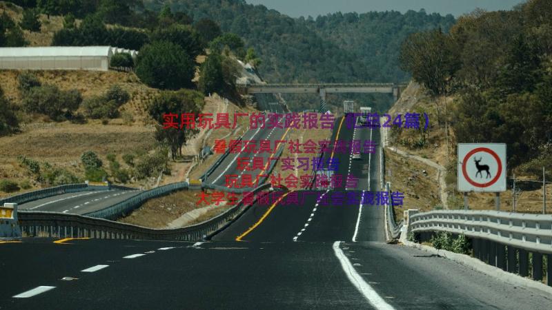 实用玩具厂的实践报告（汇总24篇）