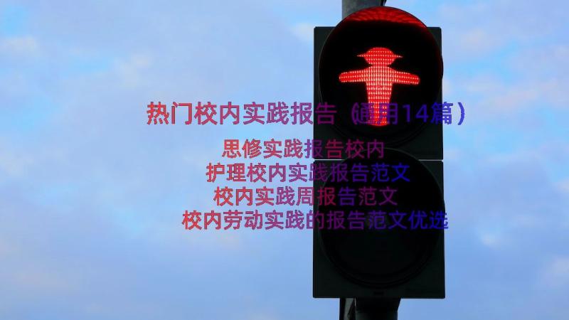 热门校内实践报告（通用14篇）