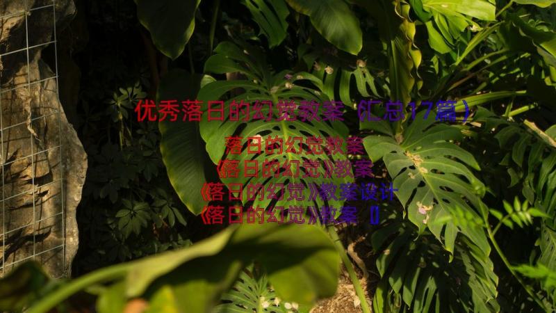 优秀落日的幻觉教案（汇总17篇）