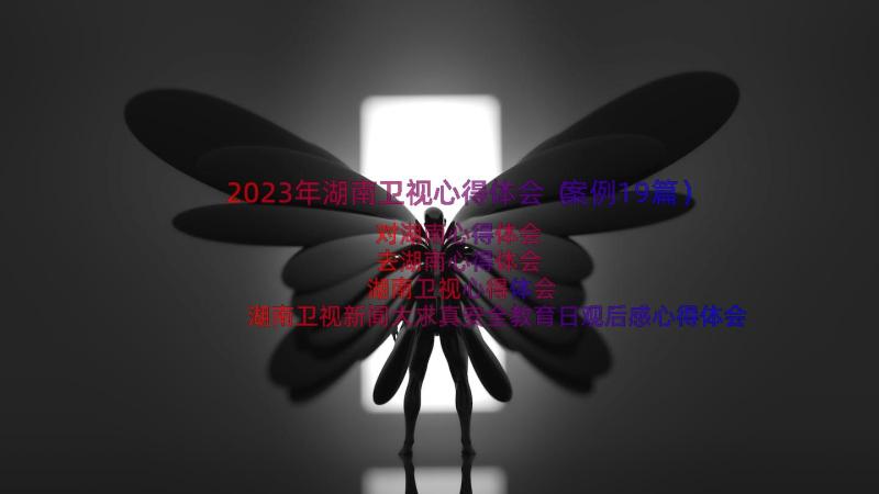 2023年湖南卫视心得体会（案例19篇）