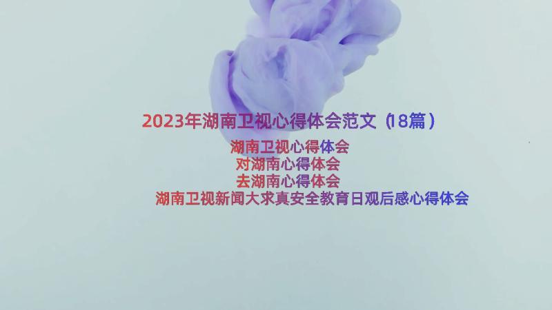 2023年湖南卫视心得体会范文（18篇）