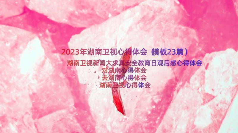 2023年湖南卫视心得体会（模板23篇）