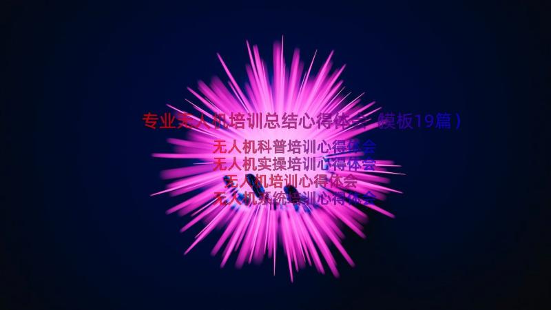 专业无人机培训总结心得体会（模板19篇）