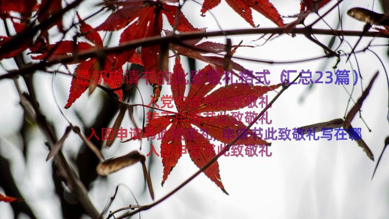 最新申请书的此致敬礼格式（汇总23篇）