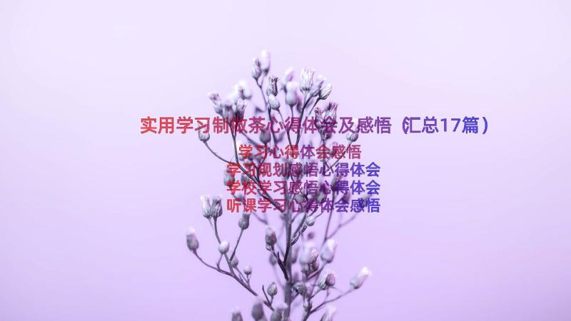 实用学习制做茶心得体会及感悟（汇总17篇）