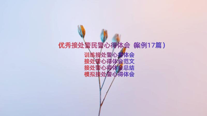 优秀接处警民警心得体会（案例17篇）