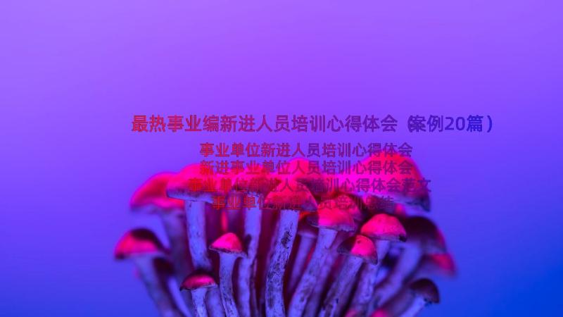 最热事业编新进人员培训心得体会（案例20篇）