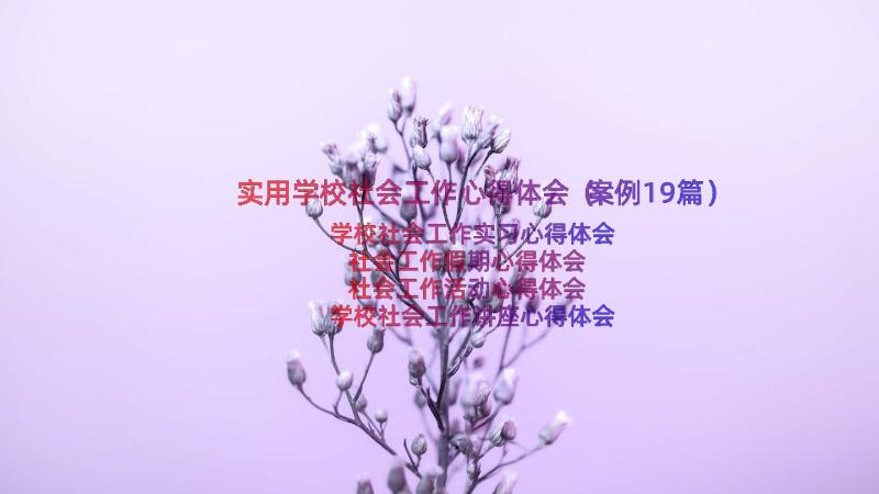 实用学校社会工作心得体会（案例19篇）