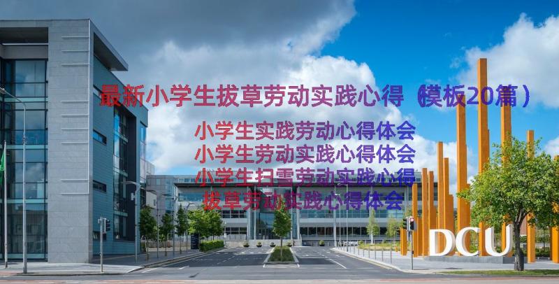 最新小学生拔草劳动实践心得（模板20篇）