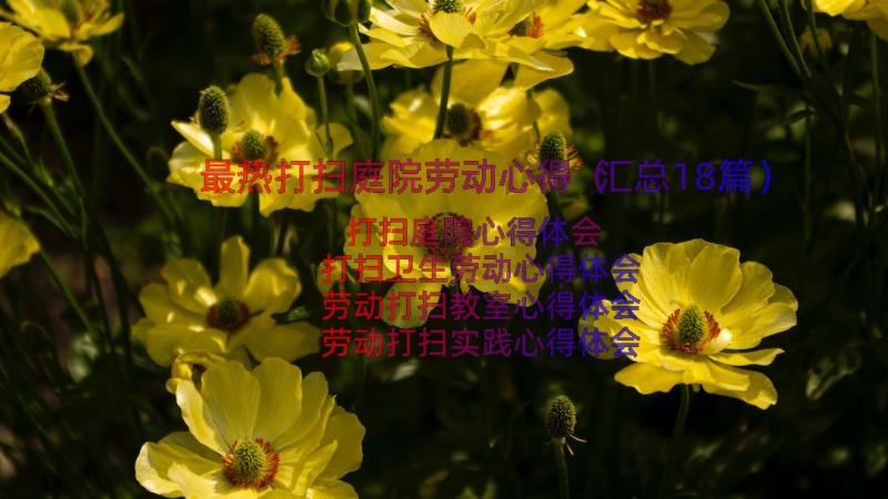 最热打扫庭院劳动心得（汇总18篇）