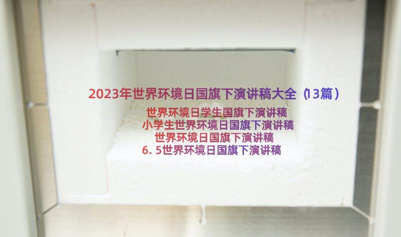 2023年世界环境日国旗下演讲稿大全（13篇）