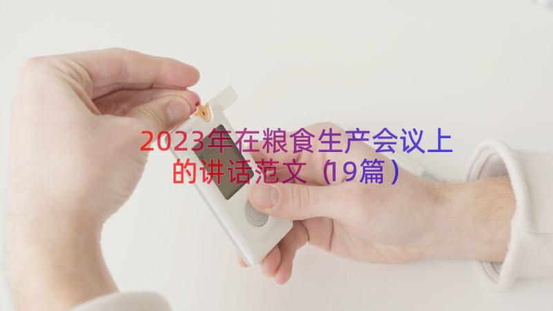 2023年在粮食生产会议上的讲话范文（19篇）