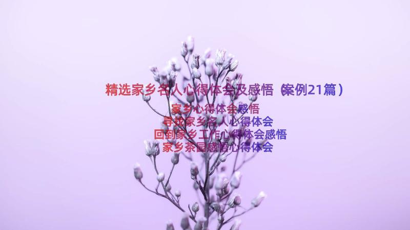 精选家乡名人心得体会及感悟（案例21篇）