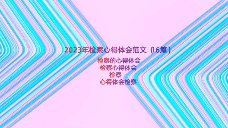 2023年检察心得体会范文（16篇）