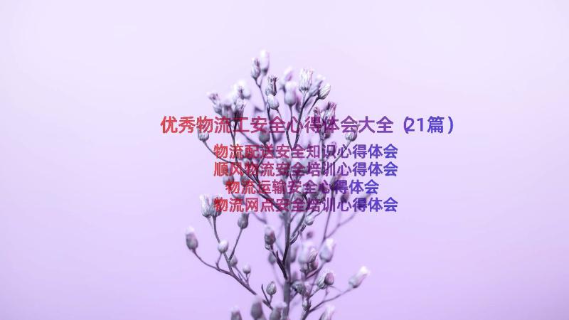 优秀物流工安全心得体会大全（21篇）