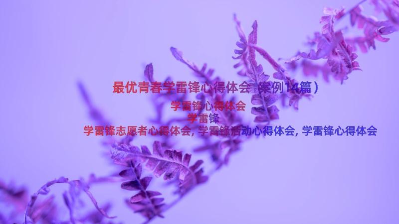 最优青春学雷锋心得体会（案例14篇）