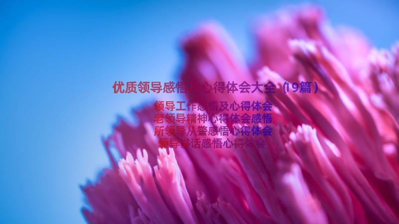 优质领导感悟和心得体会大全（19篇）