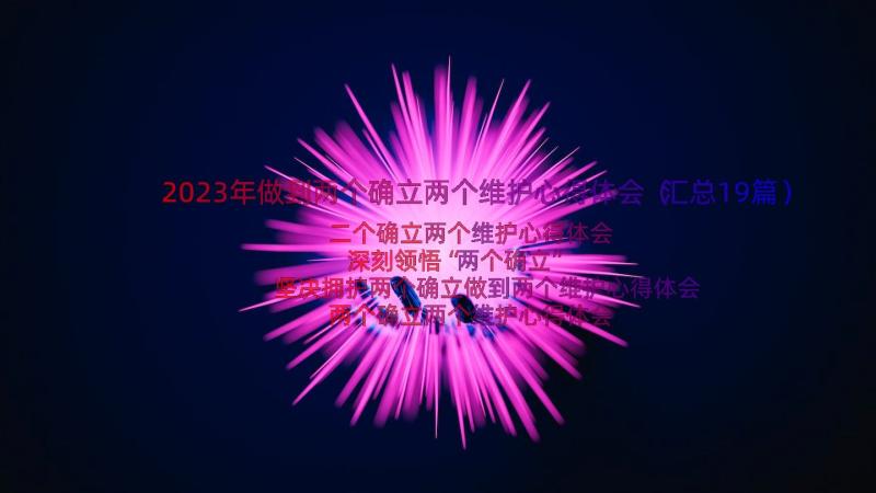 2023年做到两个确立两个维护心得体会（汇总19篇）