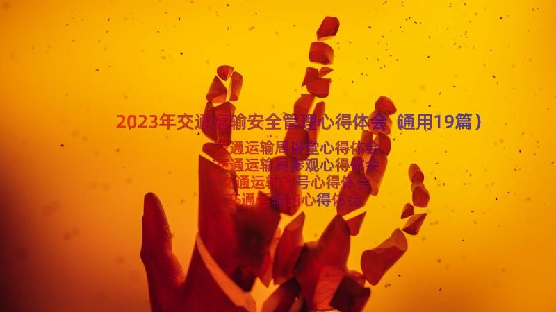 2023年交通运输安全管理心得体会（通用19篇）