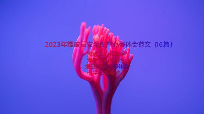 2023年爆破员安全生产心得体会范文（16篇）