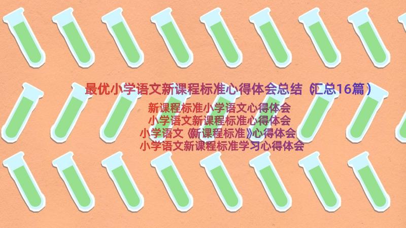 最优小学语文新课程标准心得体会总结（汇总16篇）