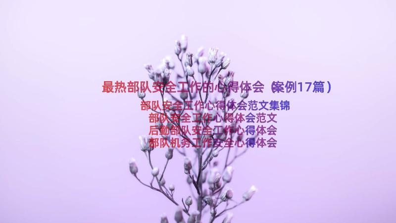 最热部队安全工作的心得体会（案例17篇）