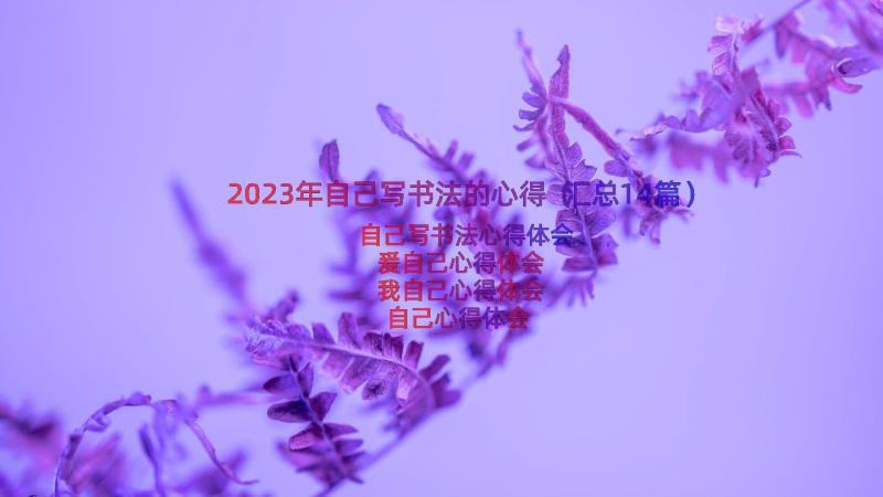 2023年自己写书法的心得（汇总14篇）