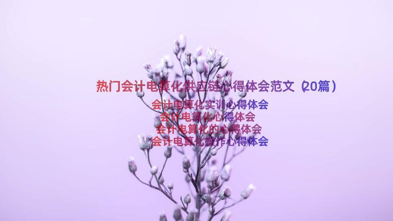 热门会计电算化供应链心得体会范文（20篇）