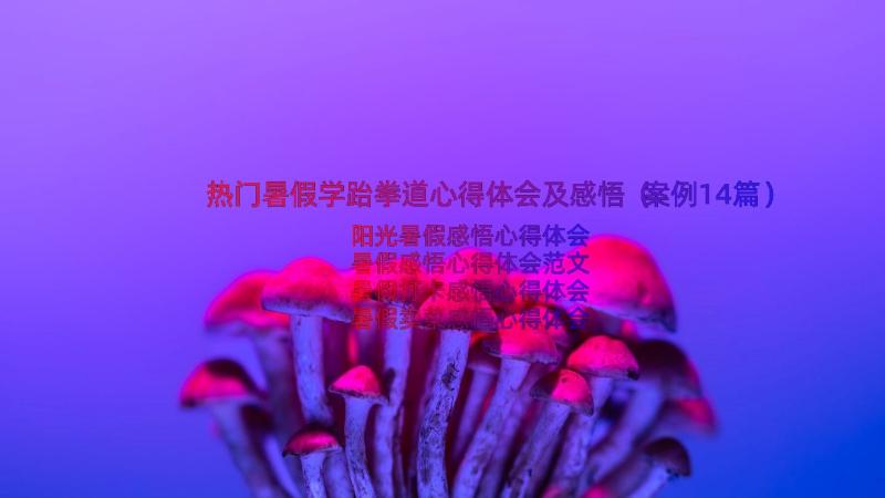 热门暑假学跆拳道心得体会及感悟（案例14篇）