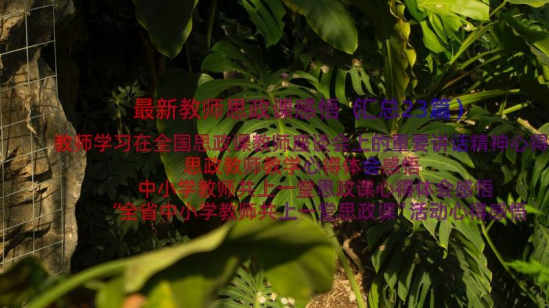 最新教师思政课感悟（汇总23篇）