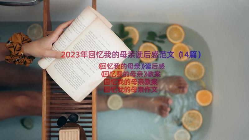 2023年回忆我的母亲读后感范文（14篇）