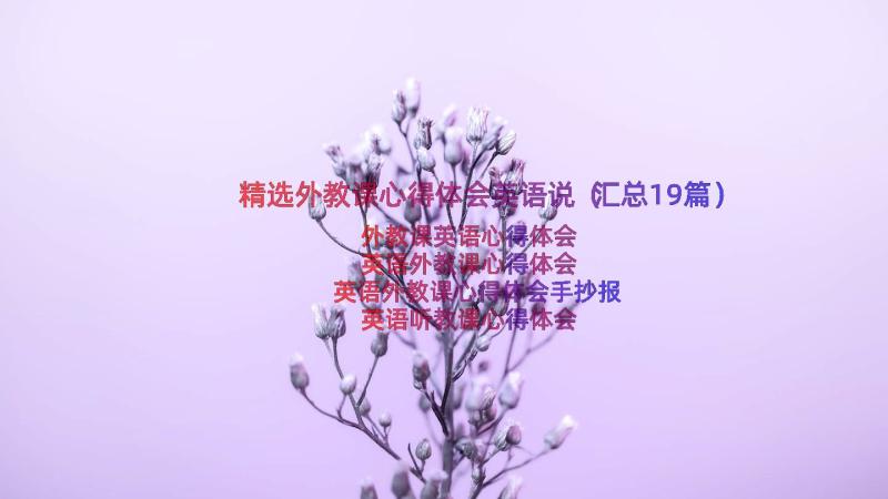 精选外教课心得体会英语说（汇总19篇）