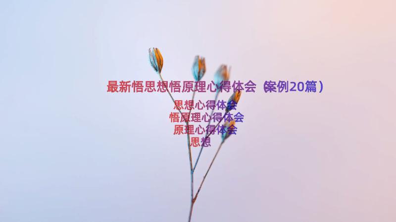 最新悟思想悟原理心得体会（案例20篇）