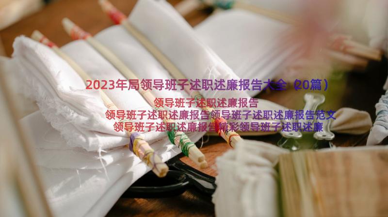 2023年局领导班子述职述廉报告大全（20篇）