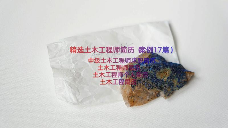 精选土木工程师简历（案例17篇）