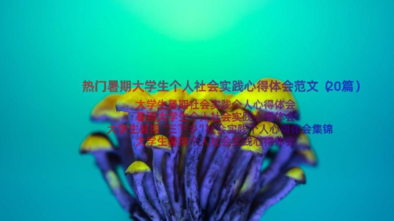 热门暑期大学生个人社会实践心得体会范文（20篇）