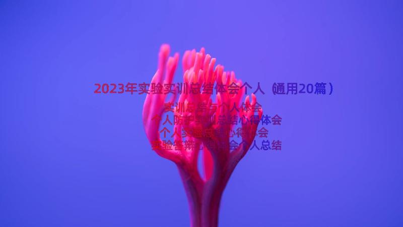 2023年实验实训总结体会个人（通用20篇）