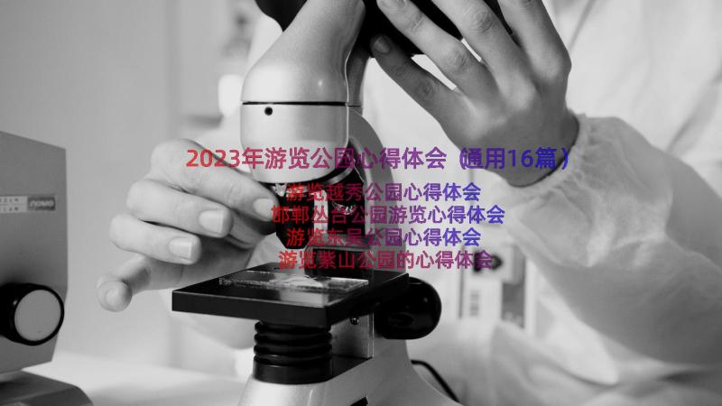 2023年游览公园心得体会（通用16篇）