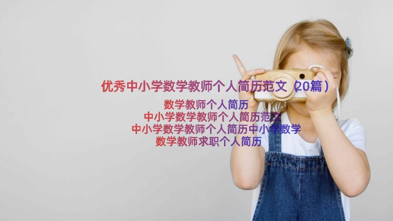 优秀中小学数学教师个人简历范文（20篇）