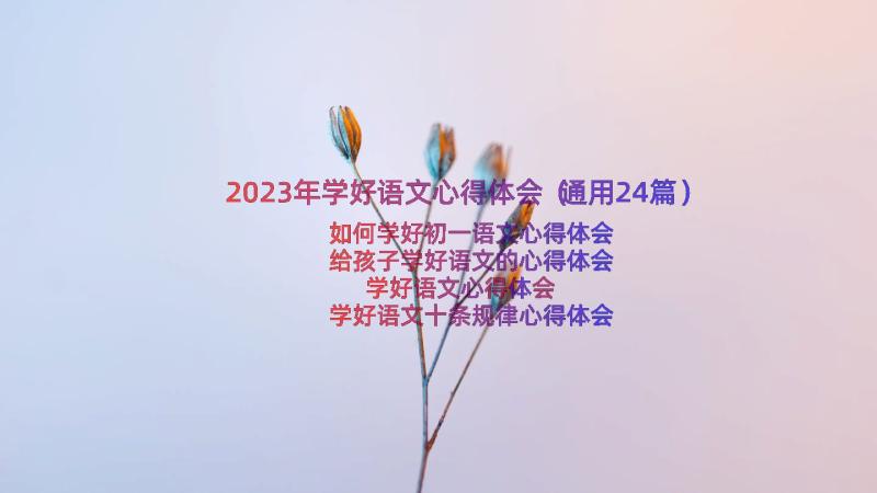 2023年学好语文心得体会（通用24篇）