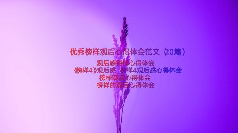 优秀榜样观后心得体会范文（20篇）