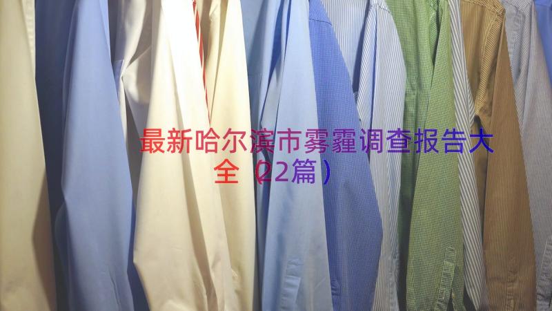 最新哈尔滨市雾霾调查报告大全（22篇）